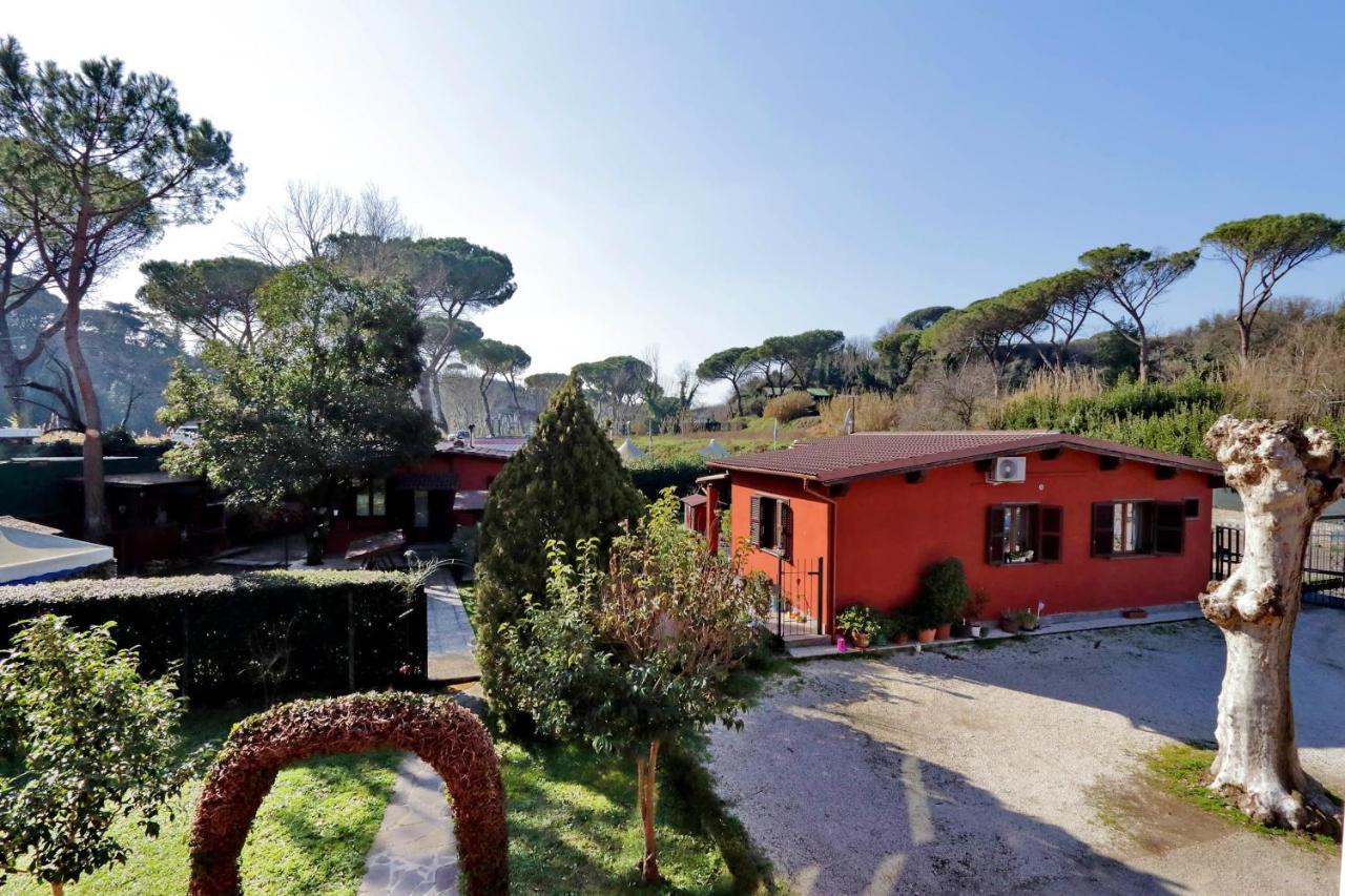 Antico Platano Bed and Breakfast Rom Exteriör bild